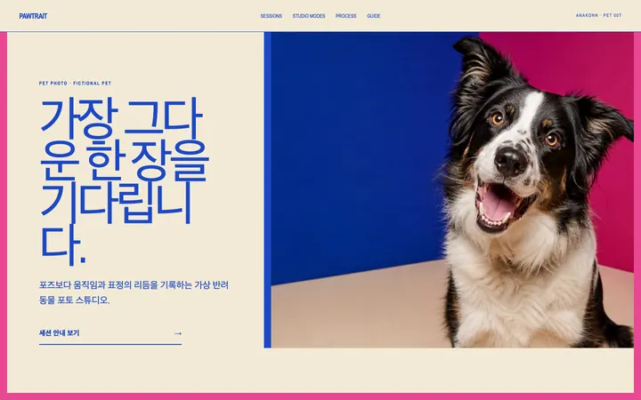 PAWTRAIT 데스크톱 미리보기